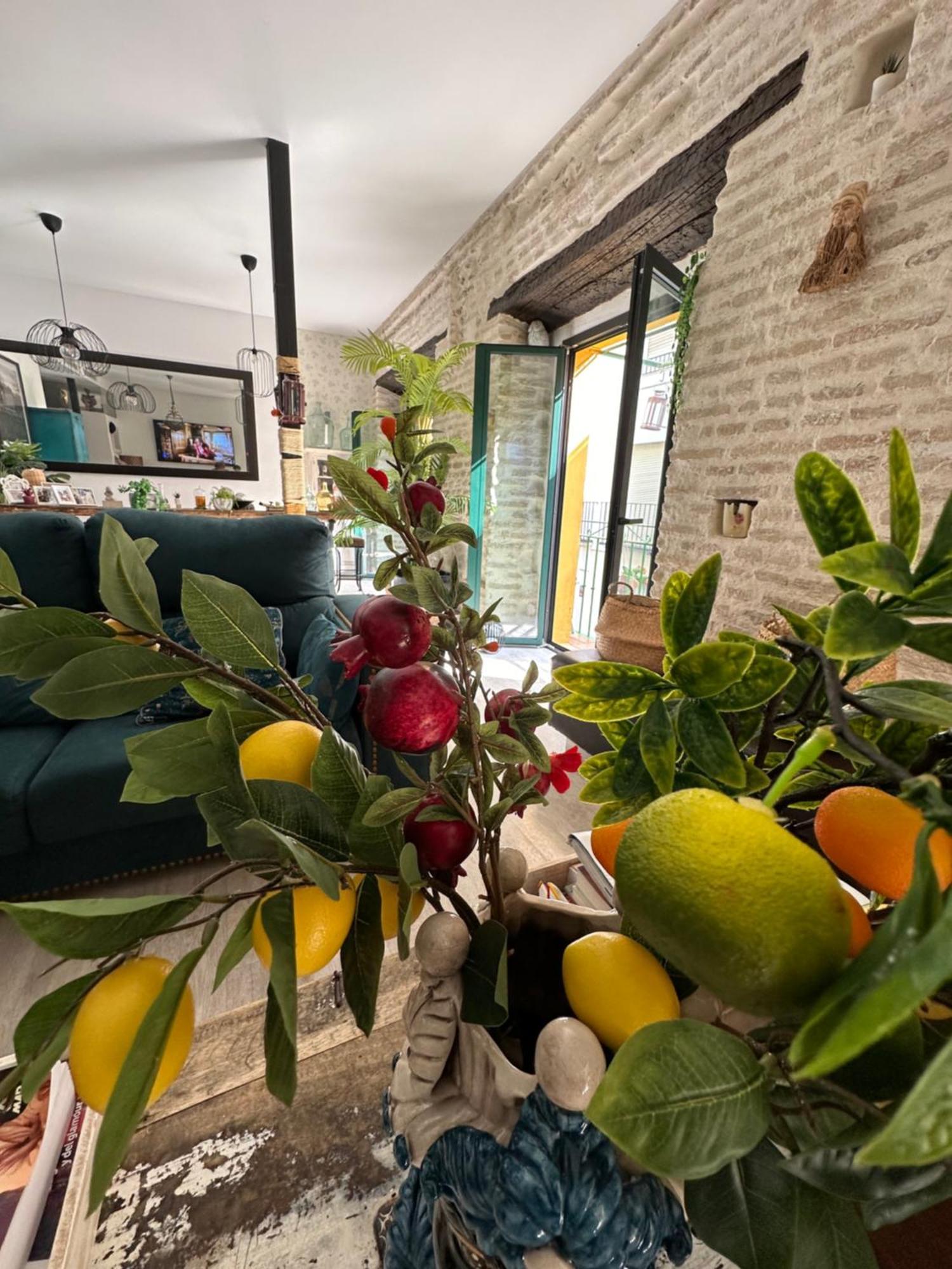 Casa Duque Compartida Familiar 1-Habitacion Con Bano Propio Séville